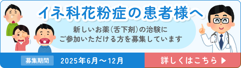 イネ科花粉症治験募集